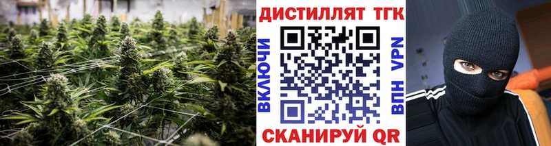 Дистиллят ТГК концентрат  omg маркетплейс  Ревда 